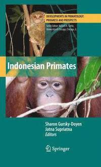 bokomslag Indonesian Primates