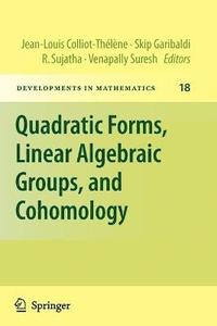 bokomslag Quadratic Forms, Linear Algebraic Groups, and Cohomology