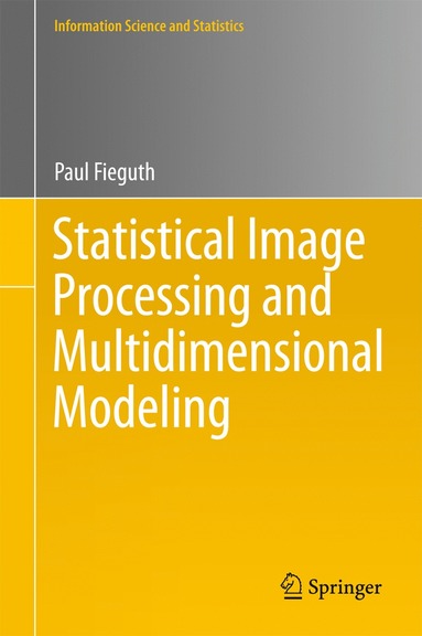 bokomslag Statistical Image Processing and Multidimensional Modeling