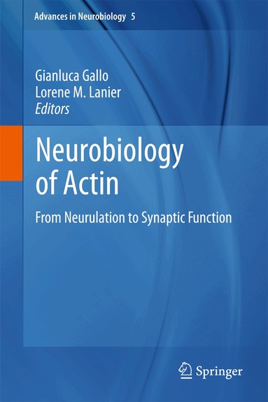 Gianluca Gallo, Lorene M Lanier - Neurobiology of Actin, Häftad