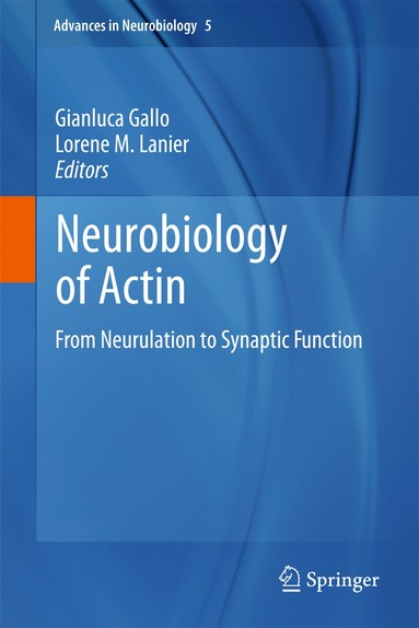 bokomslag Neurobiology of Actin