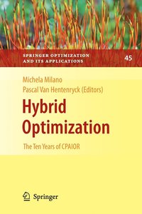 bokomslag Hybrid Optimization