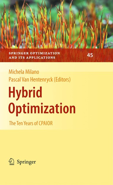 bokomslag Hybrid Optimization