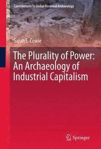 bokomslag Plurality of Power