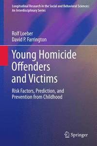 bokomslag Young Homicide Offenders and Victims