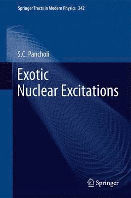 S.C. Pancholi, S. C. Pancholi - Exotic Nuclear Excitations, Häftad