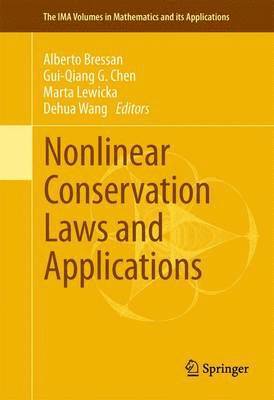 Nonlinear Conservation Laws and Applications 1