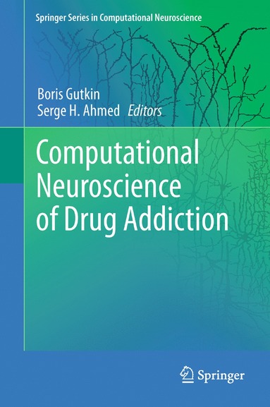 bokomslag Computational Neuroscience of Drug Addiction