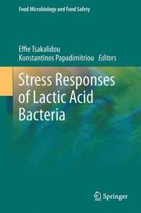 bokomslag Stress Responses of Lactic Acid Bacteria