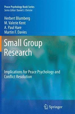 bokomslag Small Group Research