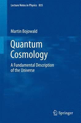 Quantum Cosmology 1