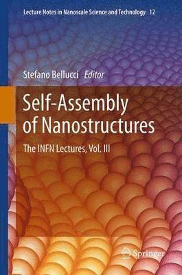 Stefano Bellucci - Self-Assembly of Nanostructures, Häftad