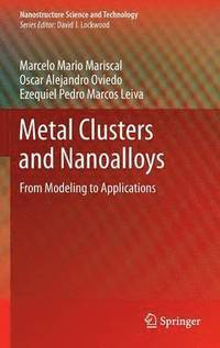 bokomslag Metal Clusters and Nanoalloys