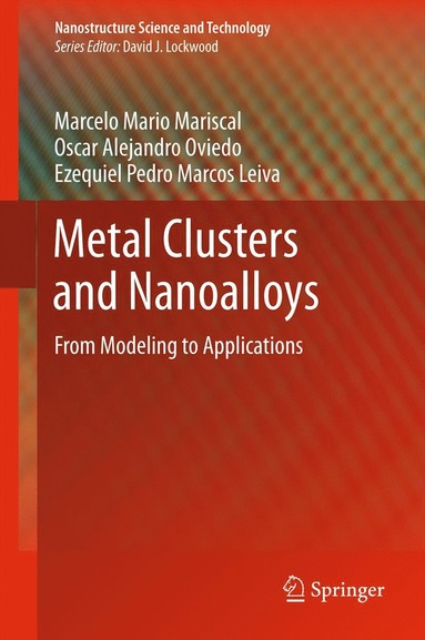 bokomslag Metal Clusters and Nanoalloys