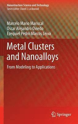 Marcelo Mario Mariscal, Oscar Alejandro Oviedo, Ezequiel Pedro Marcos Leiva - Metal Clusters and Nanoalloys, Inbunden