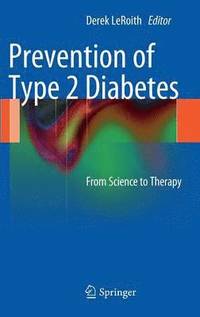 bokomslag Prevention of Type 2 Diabetes