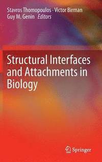 bokomslag Structural Interfaces and Attachments in Biology