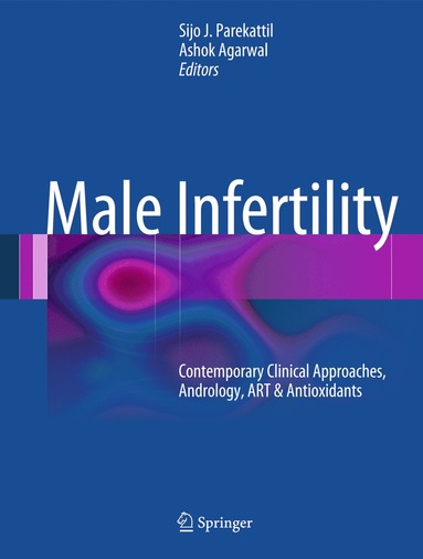 bokomslag Male Infertility