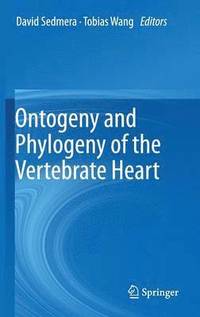 bokomslag Ontogeny and Phylogeny of the Vertebrate Heart