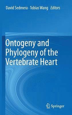 Ontogeny and Phylogeny of the Vertebrate Heart 1