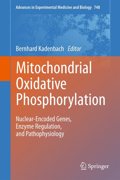 bokomslag Mitochondrial Oxidative Phosphorylation