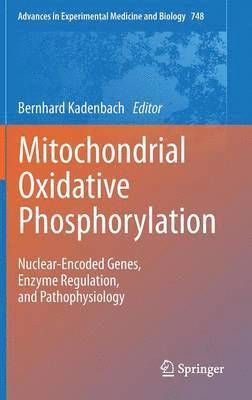Bernhard Kadenbach - Mitochondrial Oxidative Phosphorylation, Inbunden