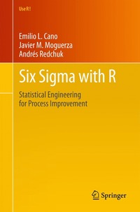 bokomslag Six Sigma with  R