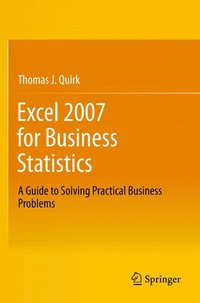 bokomslag Excel 2007 for Business Statistics