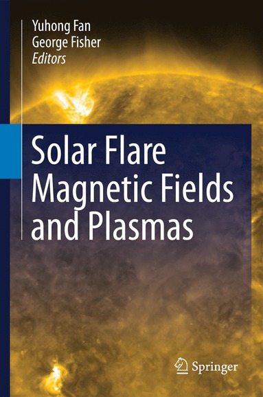 bokomslag Solar Flare Magnetic Fields and Plasmas