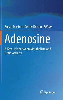 bokomslag Adenosine