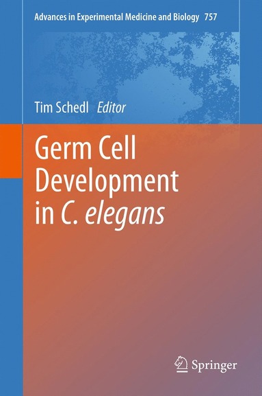 bokomslag Germ Cell Development in C. elegans