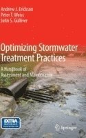 bokomslag Optimizing Stormwater Treatment Practices