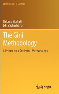 bokomslag The Gini Methodology