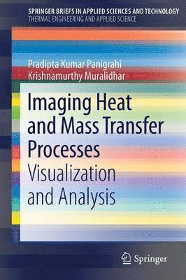 Pradipta Kumar Panigrahi, Krishnamurthy Muralidhar - Imaging Heat and Mass Transfer Processes, Häftad