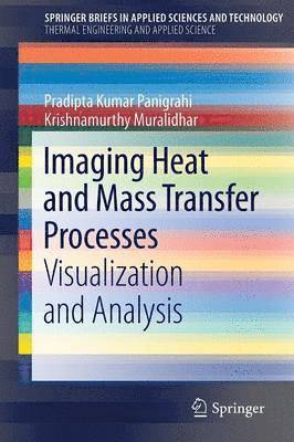 Imaging Heat and Mass Transfer Processes 1