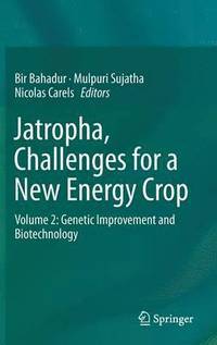 bokomslag Jatropha, Challenges for a New Energy Crop