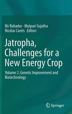 bokomslag Jatropha, Challenges for a New Energy Crop
