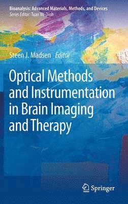 Optical Methods and Instrumentation in Brain Imaging and Therapy