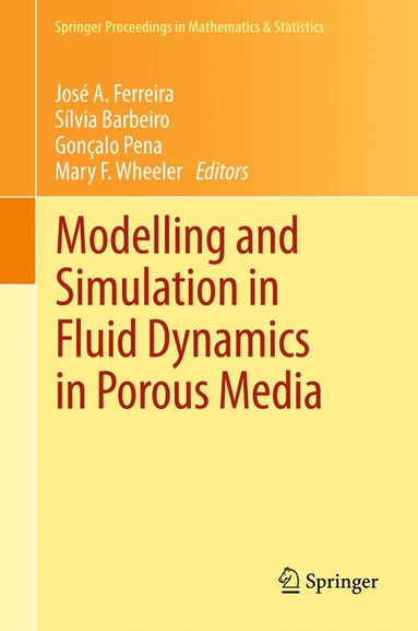 José A. Ferreira, Sílvia Barbeiro, Gonçalo Pena, Mary F. Wheeler - Modelling and Simulation in Fluid Dynamics in Porous Media, Inbunden