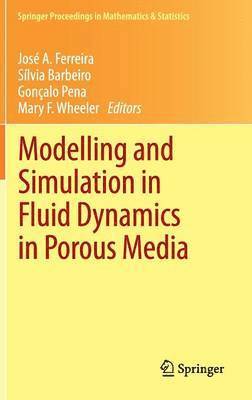 bokomslag Modelling and Simulation in Fluid Dynamics in Porous Media