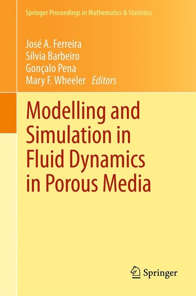 bokomslag Modelling and Simulation in Fluid Dynamics in Porous Media