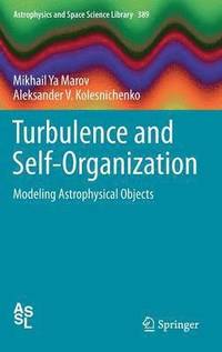 bokomslag Turbulence and Self-Organization
