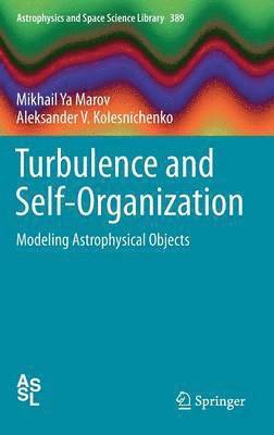 bokomslag Turbulence and Self-Organization