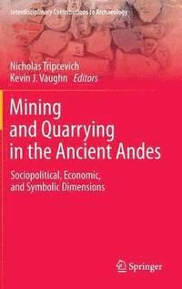 bokomslag Mining and Quarrying in the Ancient Andes