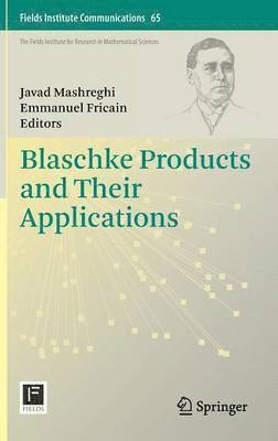 Blaschke Products and Their Applications 1