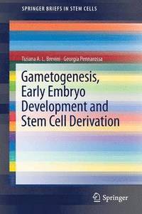 bokomslag Gametogenesis, Early Embryo Development and Stem Cell Derivation