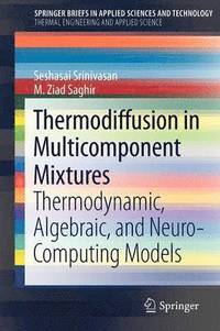 bokomslag Thermodiffusion in Multicomponent Mixtures