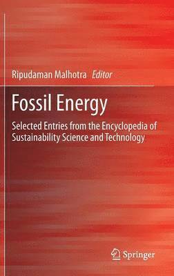 Fossil Energy: Selected Entries from the Encyclopedia of Sustainability Science and Technology