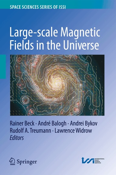 Rainer Beck, Andre Balogh, D. V. Bykov, Rudolf A. Treumann, Lawrence Widrow - Large-scale Magnetic Fields in the Universe, Inbunden