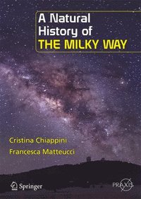 bokomslag A Natural History of the Milky Way
